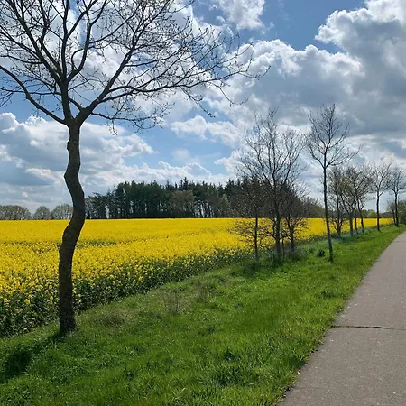Eiderwiese * Breiholz