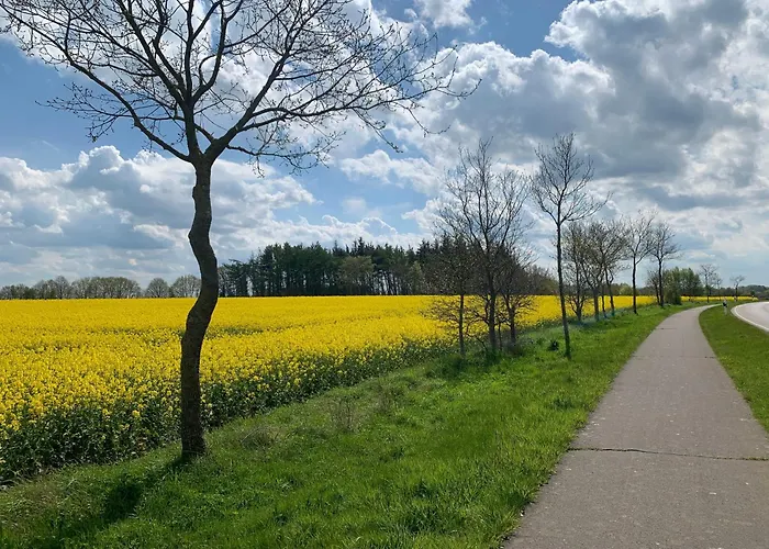 Eiderwiese * Breiholz